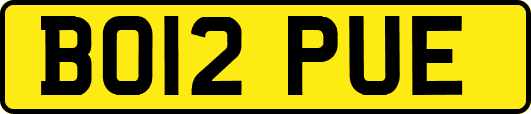 BO12PUE