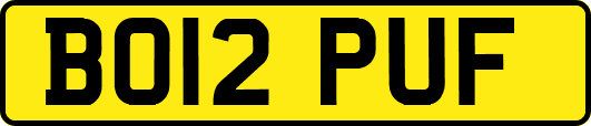 BO12PUF