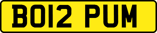 BO12PUM