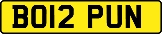 BO12PUN