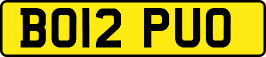 BO12PUO