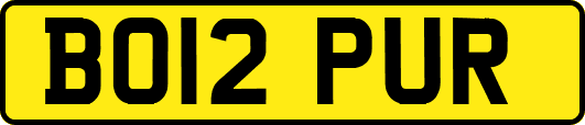 BO12PUR