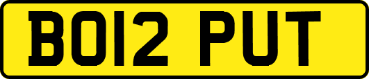 BO12PUT