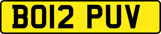 BO12PUV