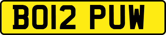 BO12PUW