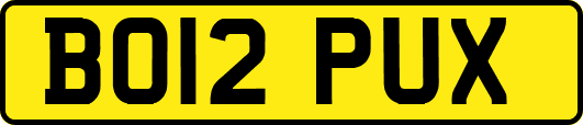 BO12PUX