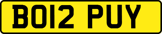 BO12PUY