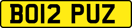 BO12PUZ