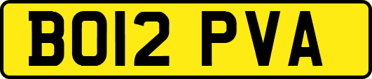 BO12PVA