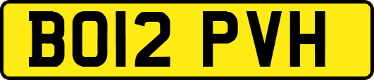 BO12PVH