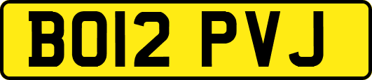 BO12PVJ