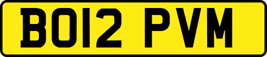 BO12PVM