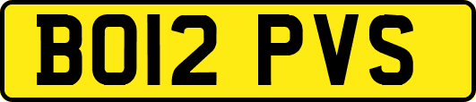 BO12PVS