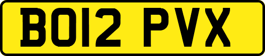 BO12PVX