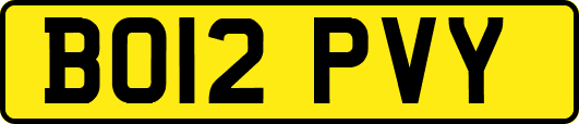 BO12PVY