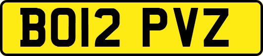 BO12PVZ