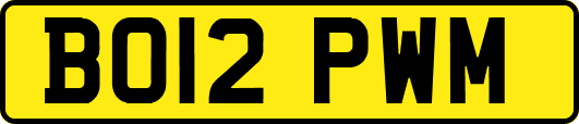 BO12PWM