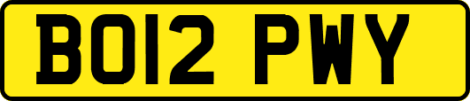 BO12PWY