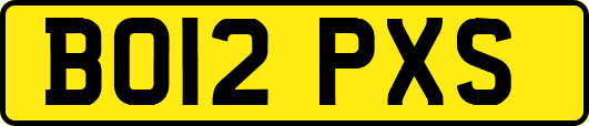 BO12PXS