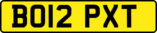 BO12PXT
