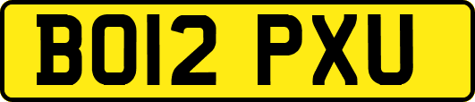 BO12PXU