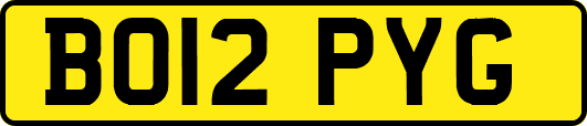 BO12PYG