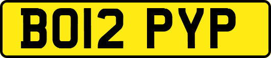 BO12PYP