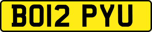 BO12PYU