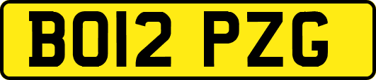 BO12PZG