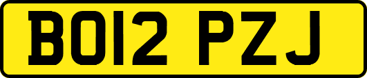 BO12PZJ