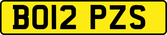 BO12PZS