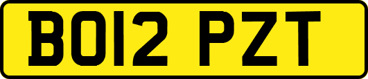 BO12PZT