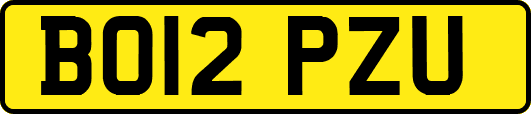 BO12PZU