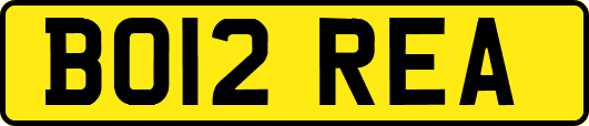 BO12REA