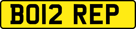 BO12REP