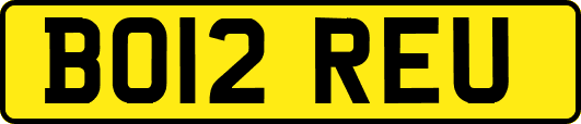 BO12REU