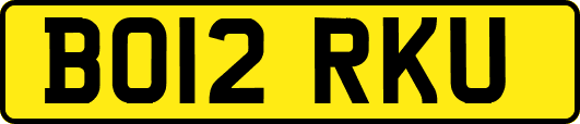 BO12RKU