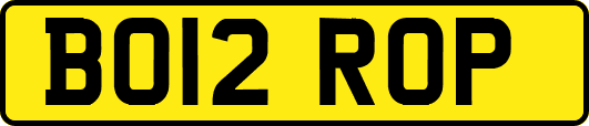 BO12ROP