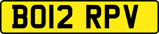 BO12RPV