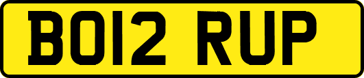 BO12RUP