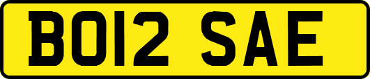 BO12SAE