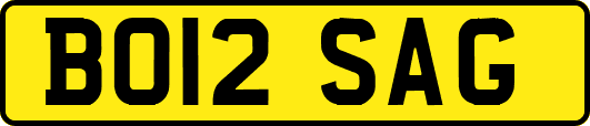 BO12SAG