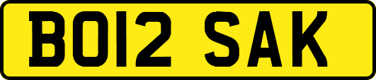 BO12SAK