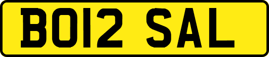 BO12SAL