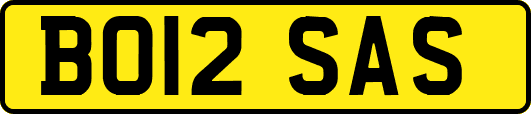 BO12SAS