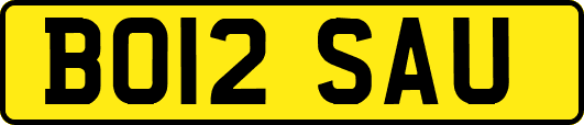 BO12SAU