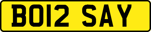 BO12SAY