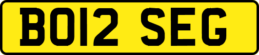 BO12SEG