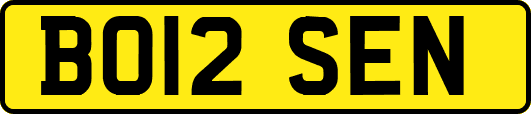BO12SEN