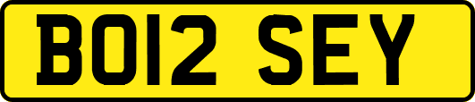 BO12SEY
